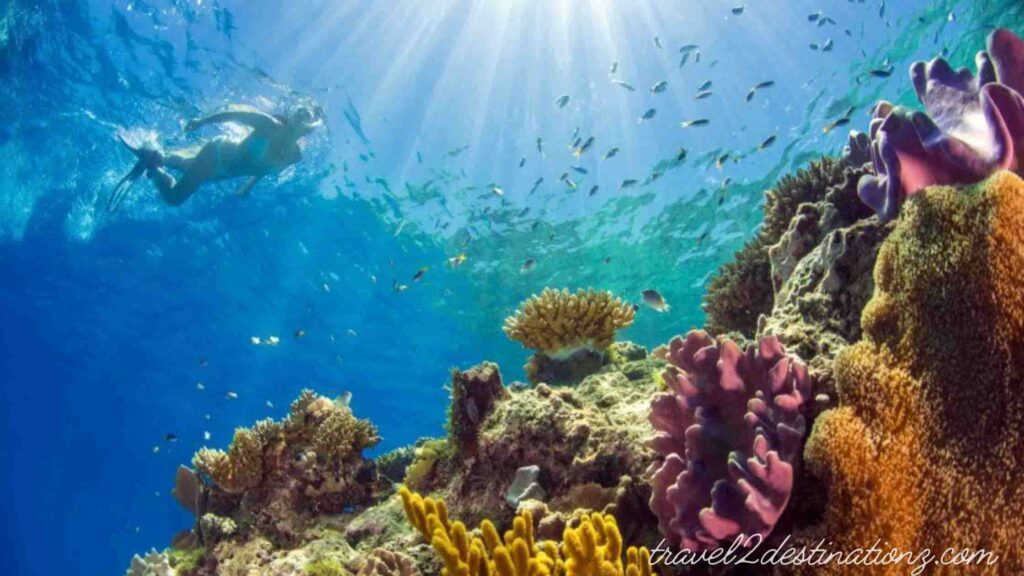 Best Place to Snorkel in Cozumel