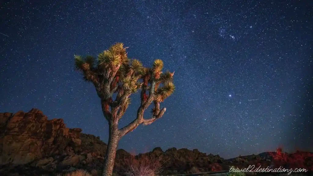 Joshua Tree National Park