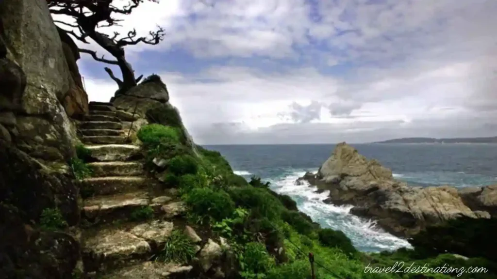 Point Lobos State Natural Reserve