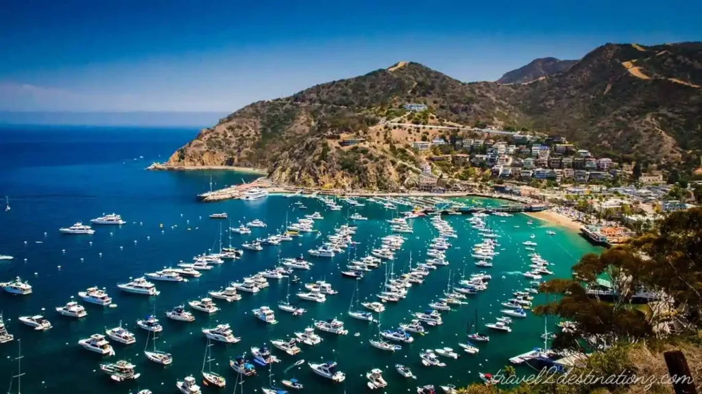 Explore Catalina Island