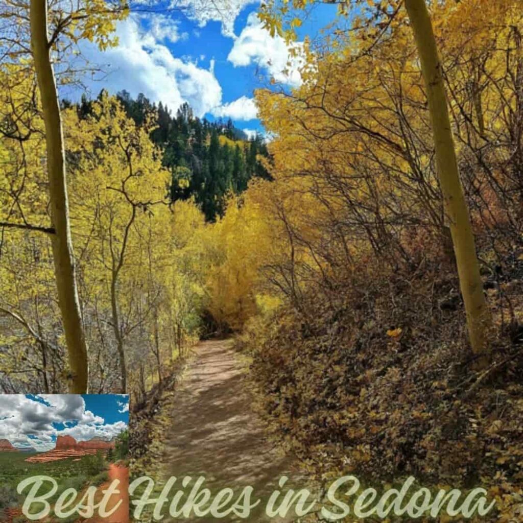 Best Hikes in Sedona
