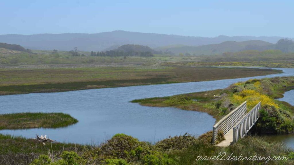 Things to Do at Half Moon Bay