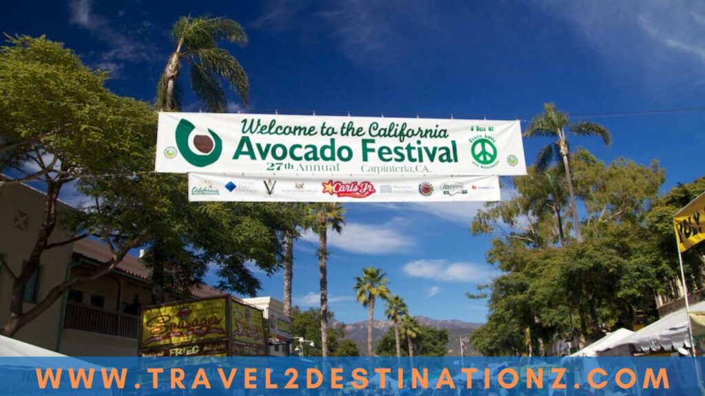 Avocado Festivals in California