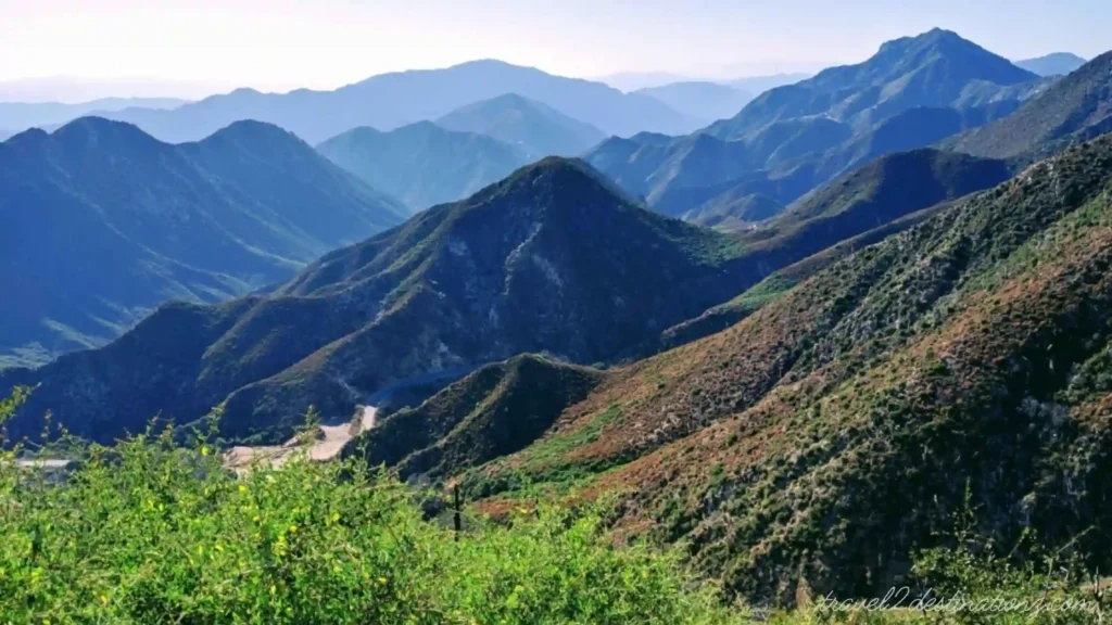 Angeles National Forest