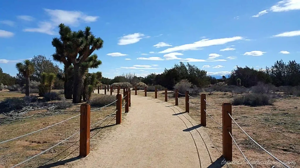 Prime Desert Woodland Preserve