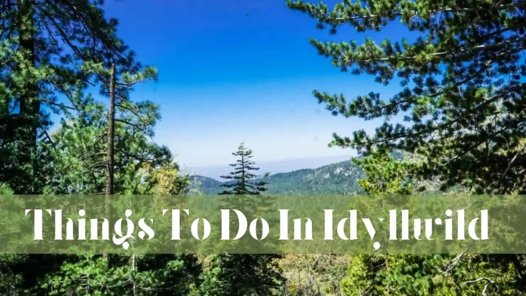 Things To Do In Idyllwild
