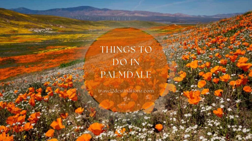 Things to do in Palmdale