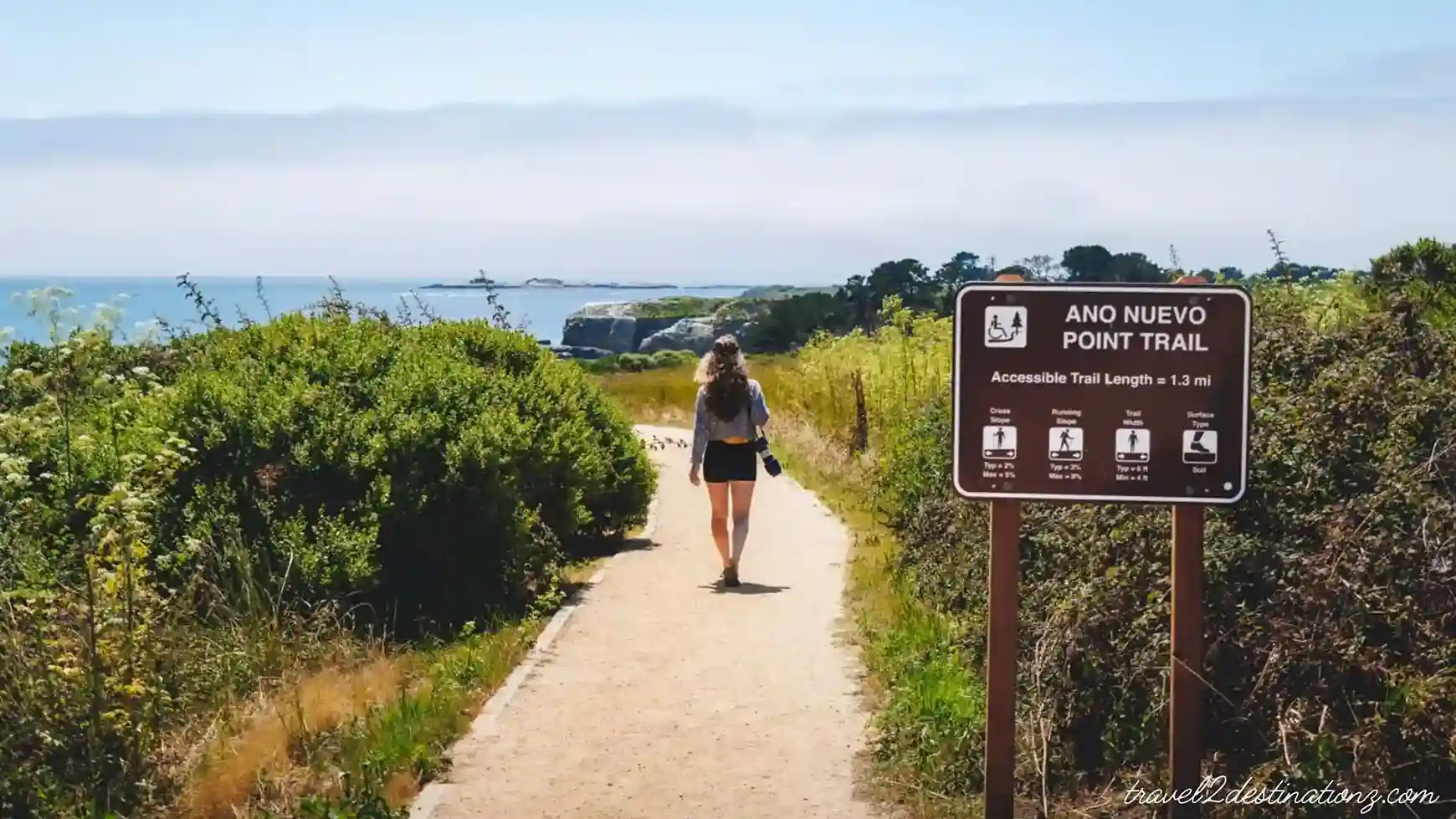 Año Nuevo State Park