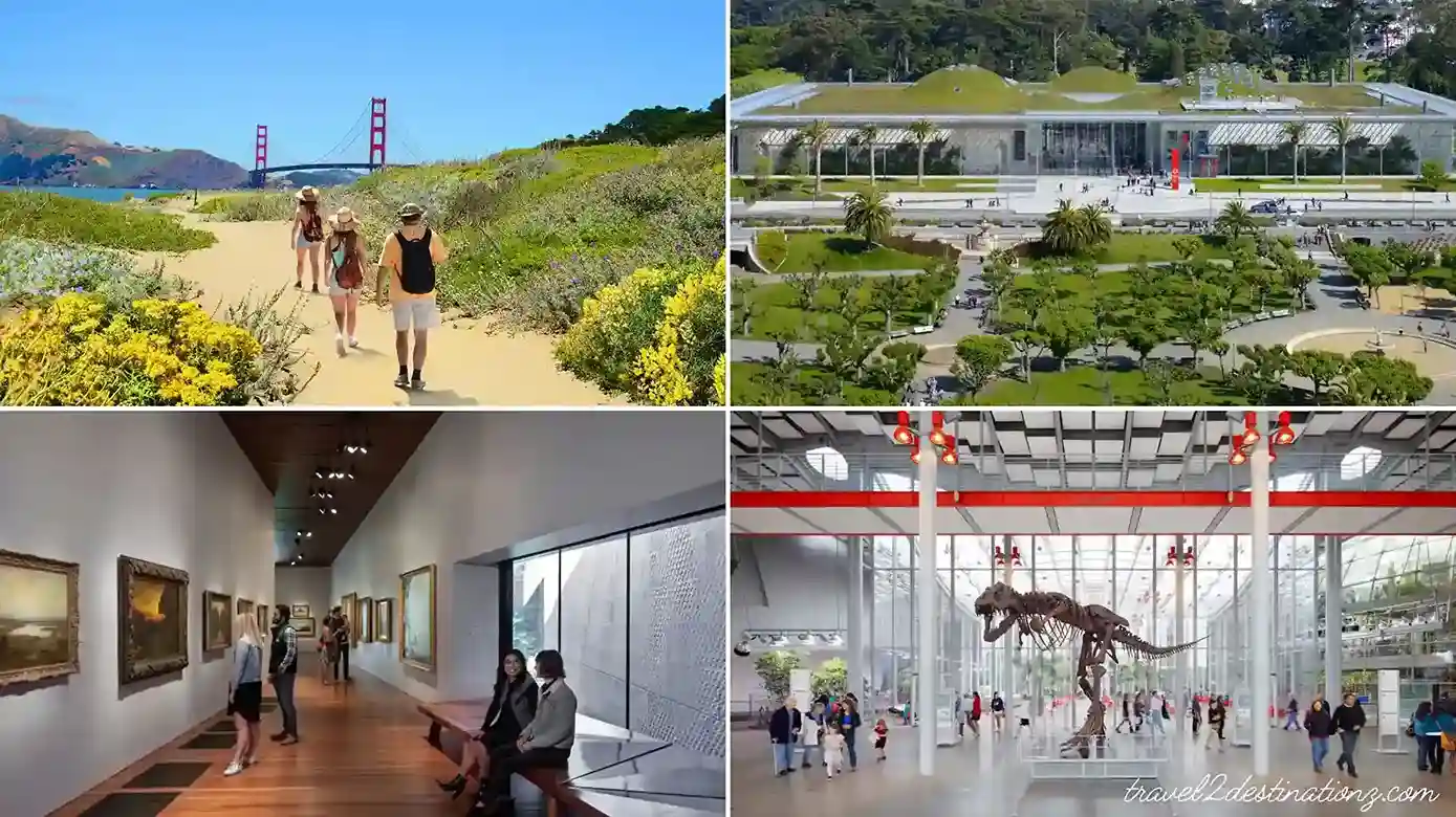 Fun Activities for Young Adults in San Francisco