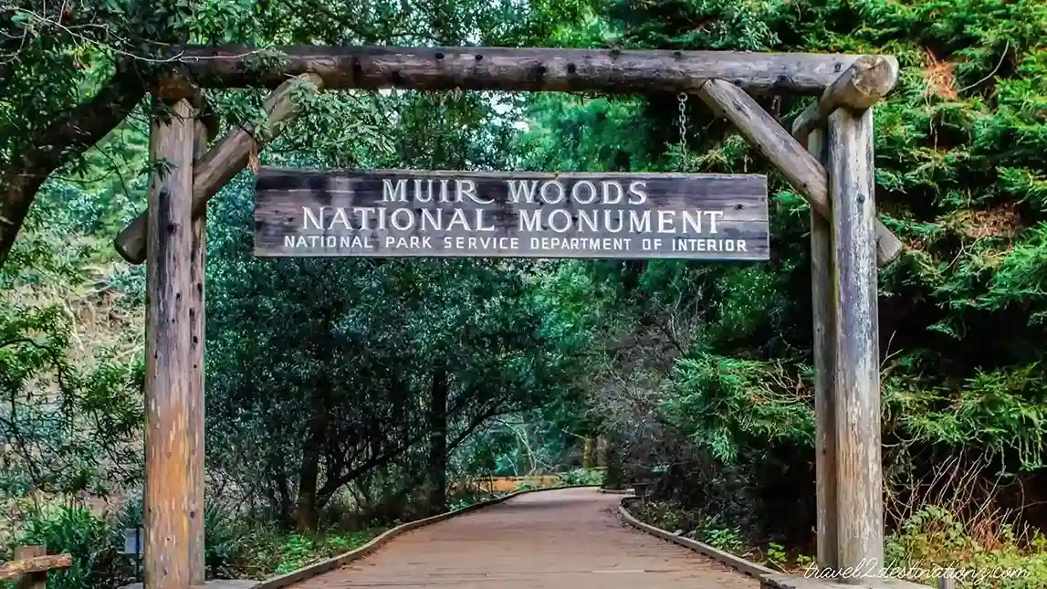 Muir Woods National Monument