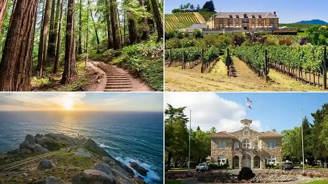 San Francisco Parks and Recreational Activities