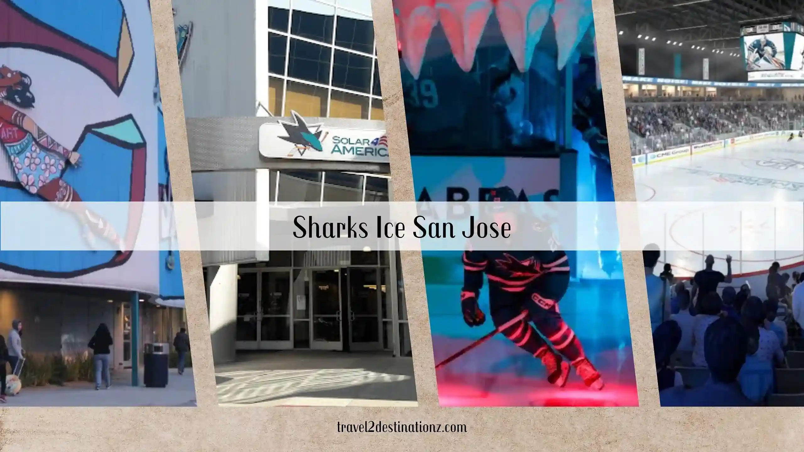 Sharks Ice San Jose 